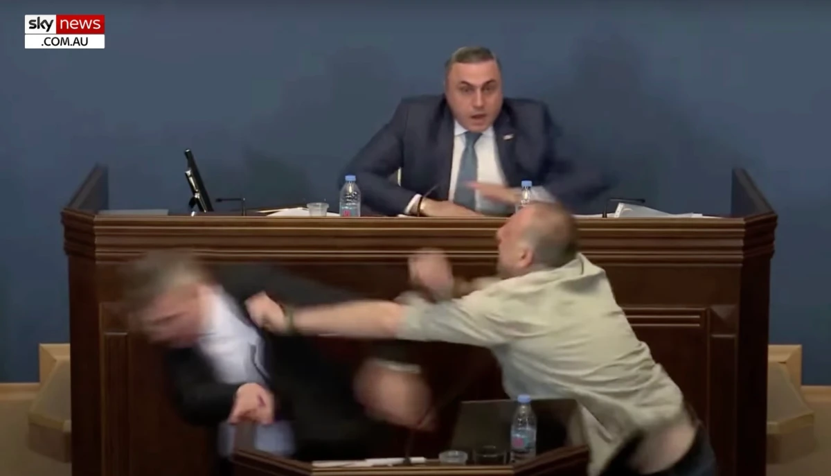 Fight breaks out in Georgian Parliament